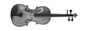 Viola